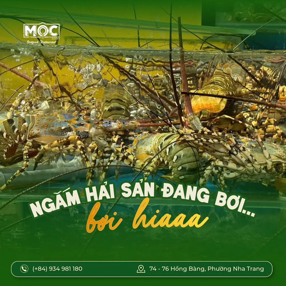 Hải Sản Mộc Quán Nha Trang – Hải Sản Tươi Sống Tại 74-76 Hồng Bàng