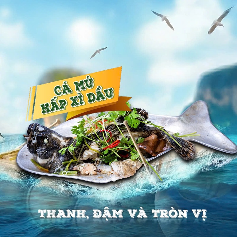 Cá mú hấp xì dầu – HongKong Steamed