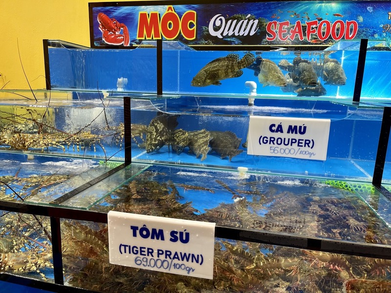 Tại sao nên lựa chọn cá mú Mộc Seafood?