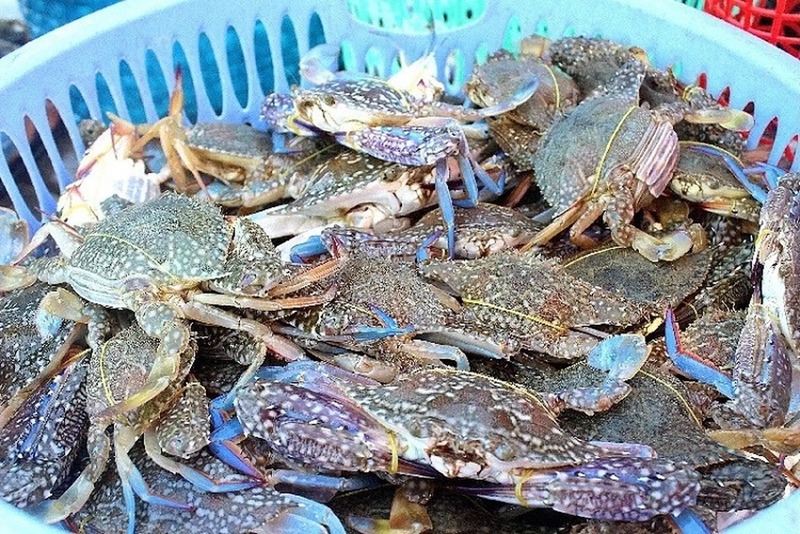 5+ bí quyết chọn ghẹ chắc thịt chuẩn dân biển không nên bỏ qua