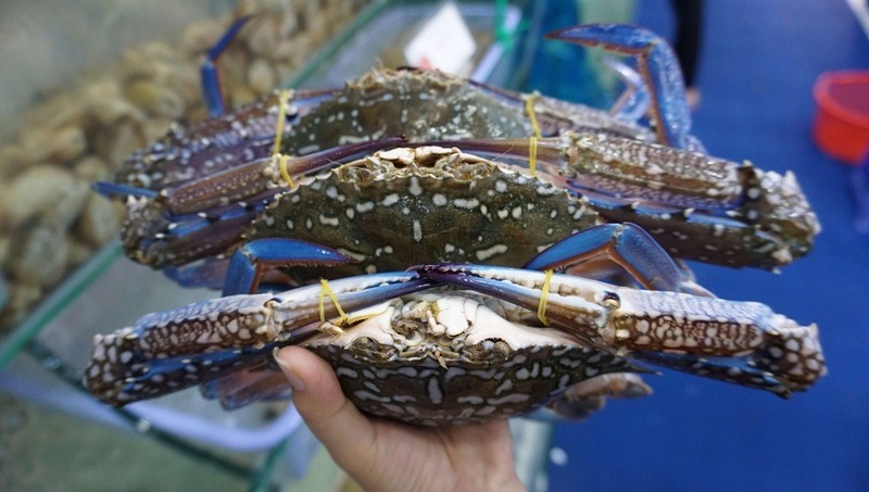 Quan sát càng và chân ghẹ