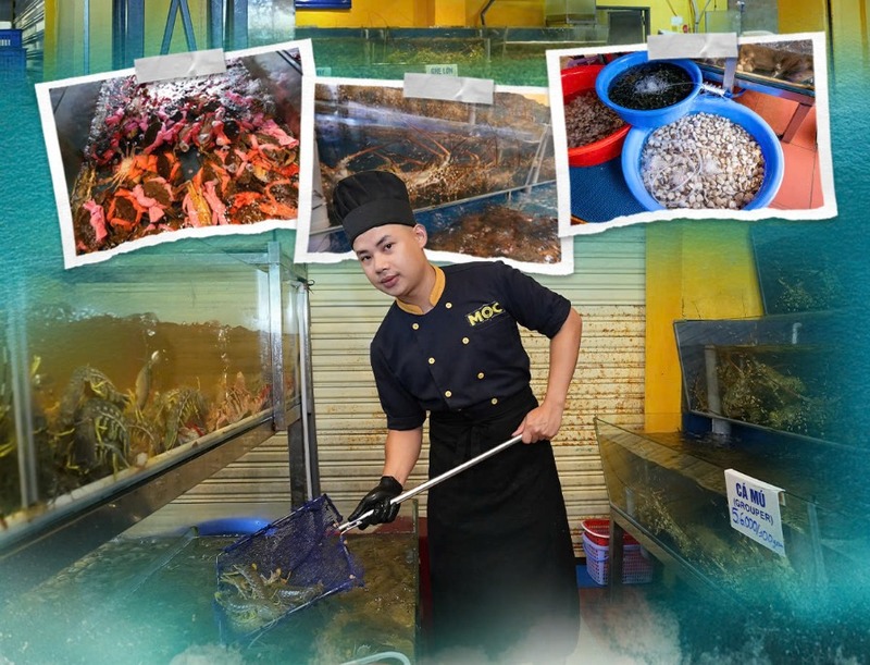 Cách chọn hải sản tươi sống – Bí quyết từ Mộc Seafood