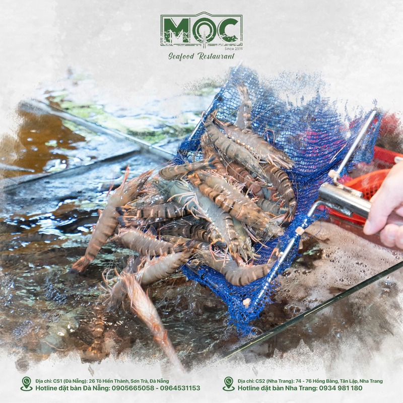 Hướng dẫn cách chọn tôm tươi dễ dàng