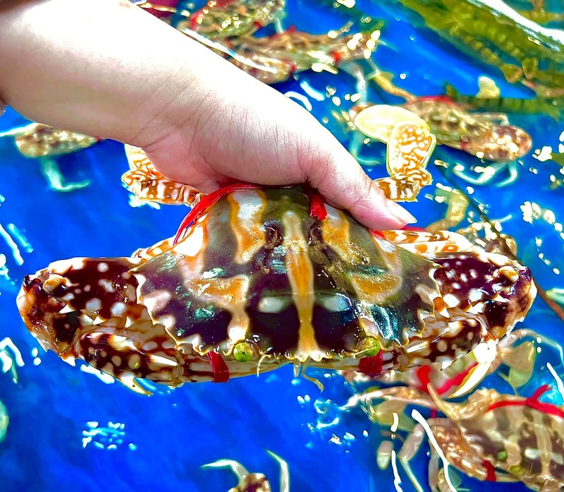 Tại sao nên thưởng thức ghẹ Mộc Seafood?