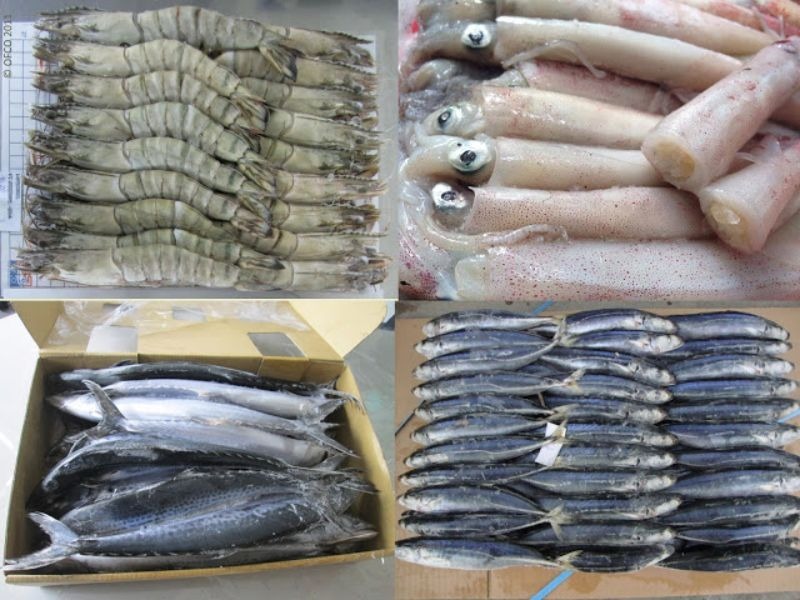 Khi nào nên chọn hải sản đông lạnh