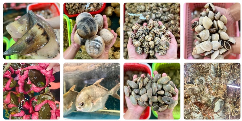 Các loại hải sản tươi ngon tại Mộc Seafood