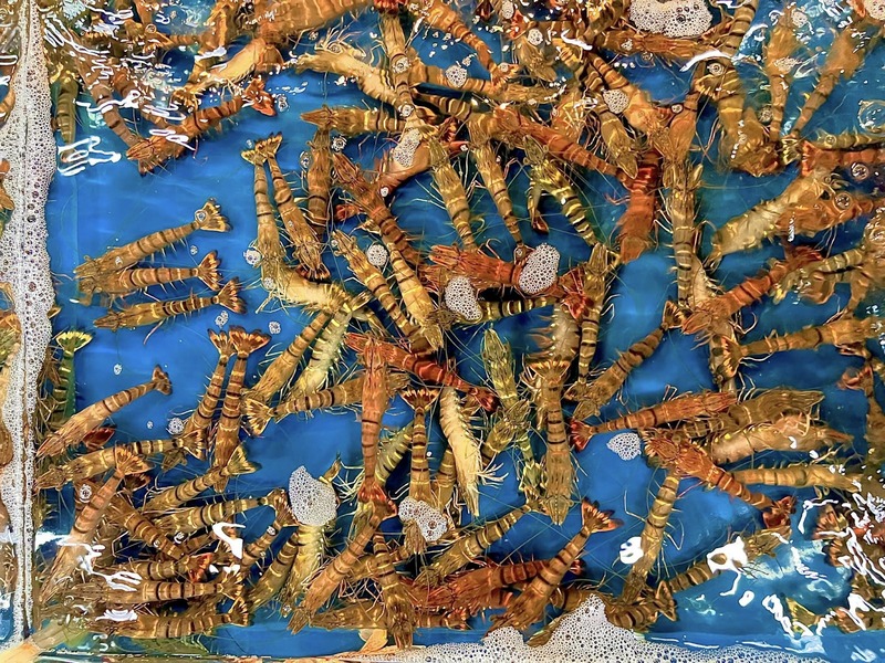 Mộc Seafood review từ trải nghiệm thực tế của thực khách