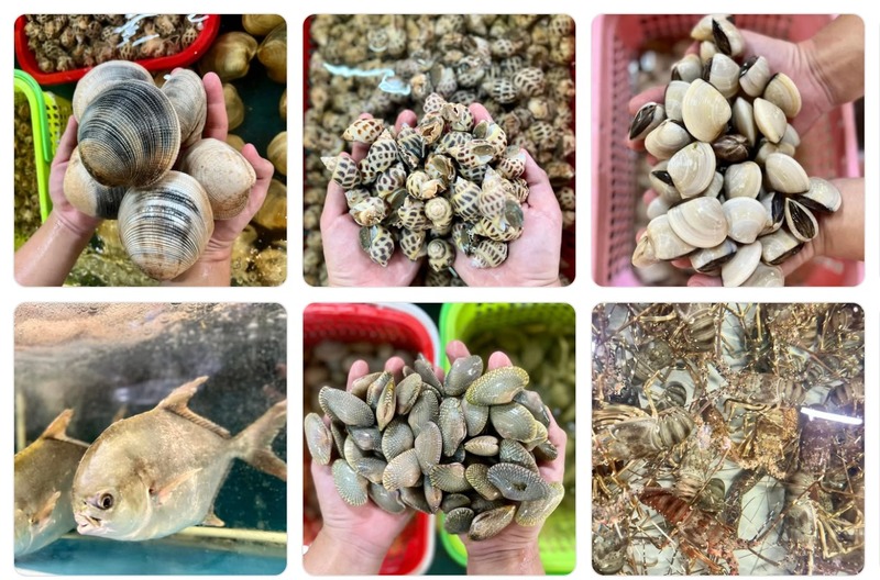 Giới thiệu về nhà hàng Mộc SeaFood?