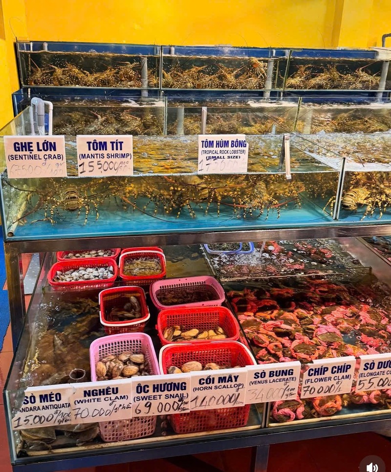Hải sản tại Mộc Seafood có thật sự tươi như lời đồn?