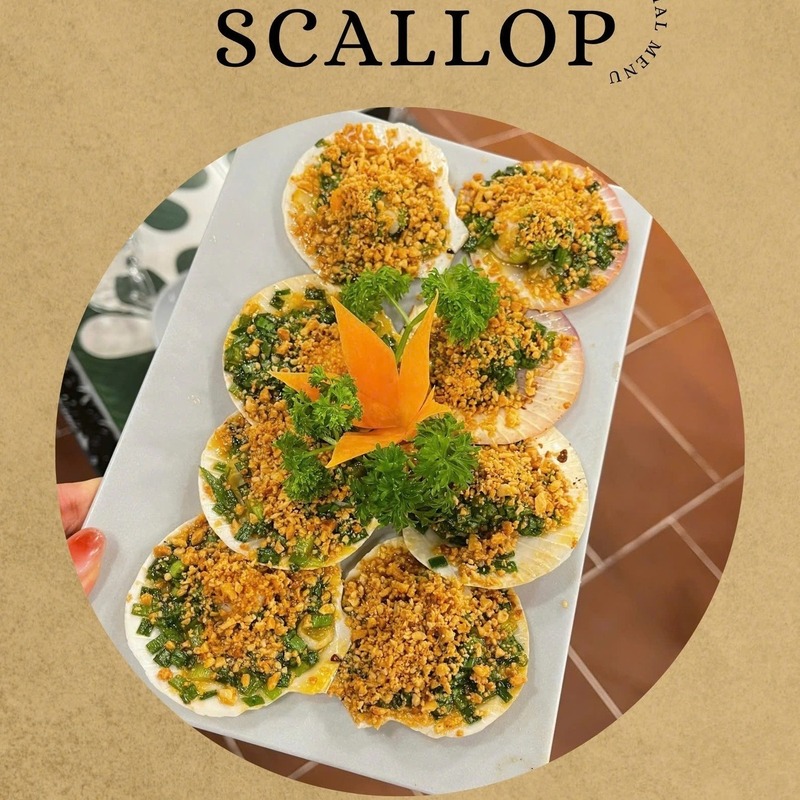 Sò điệp Mộc Seafood – Món khai vị hoàn hảo cho bữa tiệc hải sản