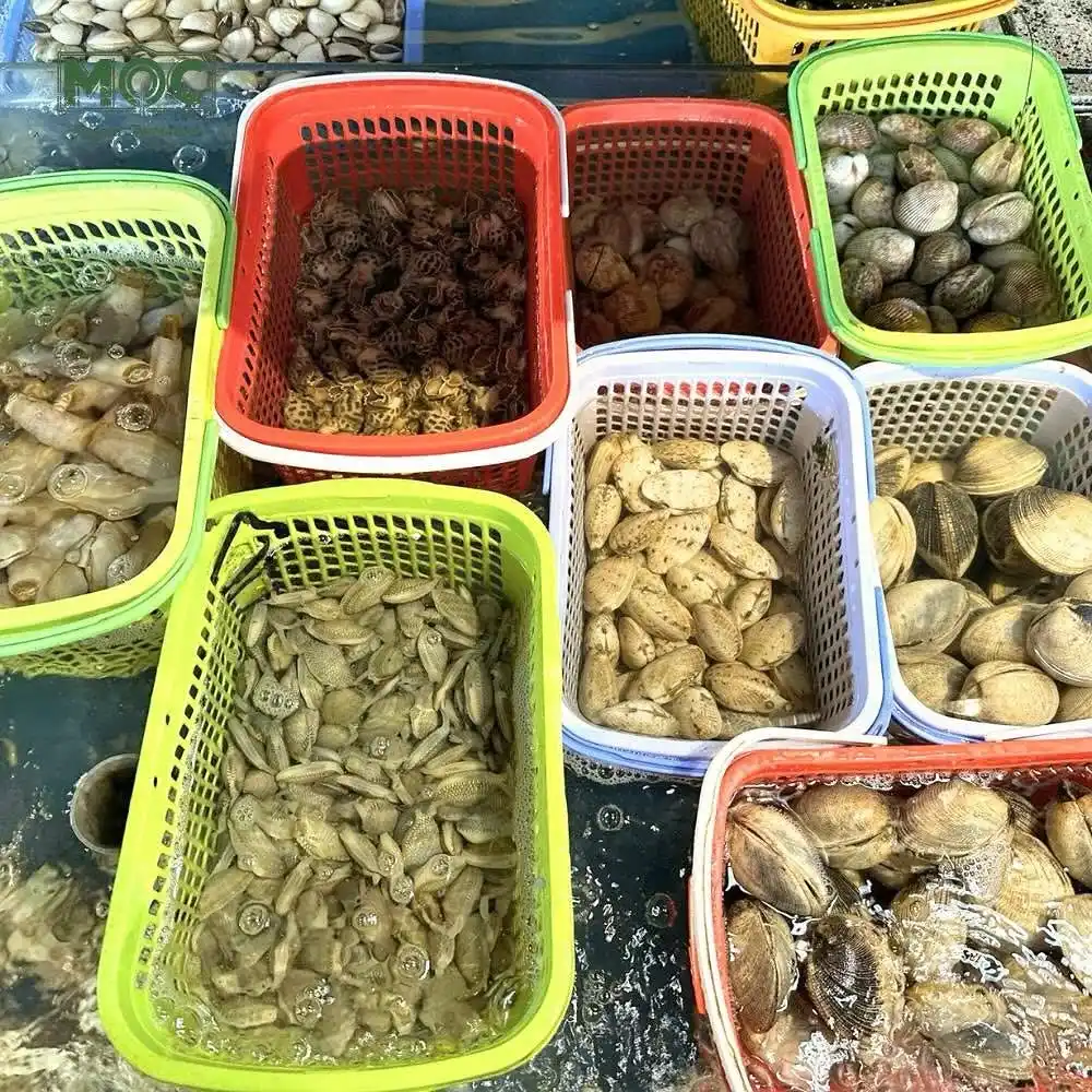 Hải sản Mộc quán Đà Nẵng